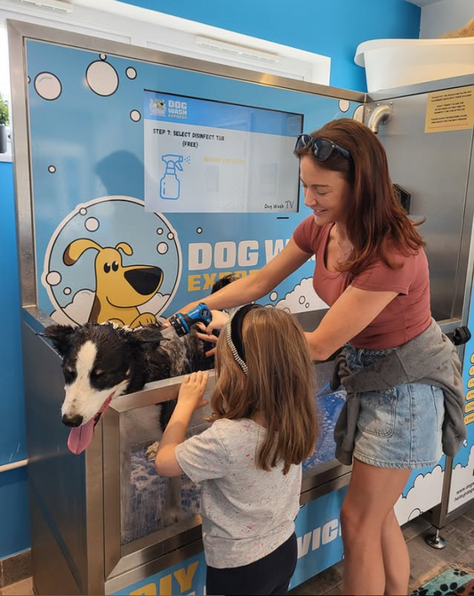 Self-Service Dog Washing Machine in United Kingdom