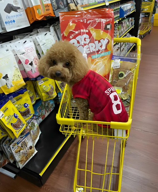 Why Pet Stores Need a Self-Service Dog Washing Machine