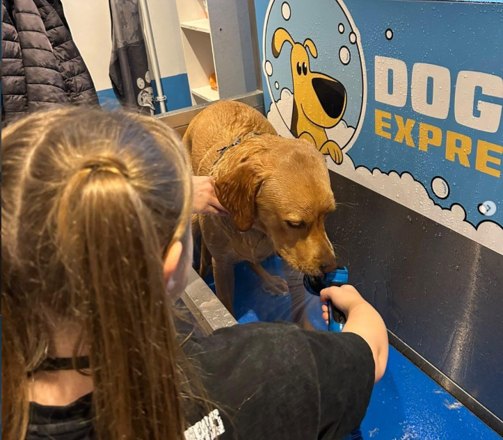 What Is a Self-Service Dog Wash Machine？