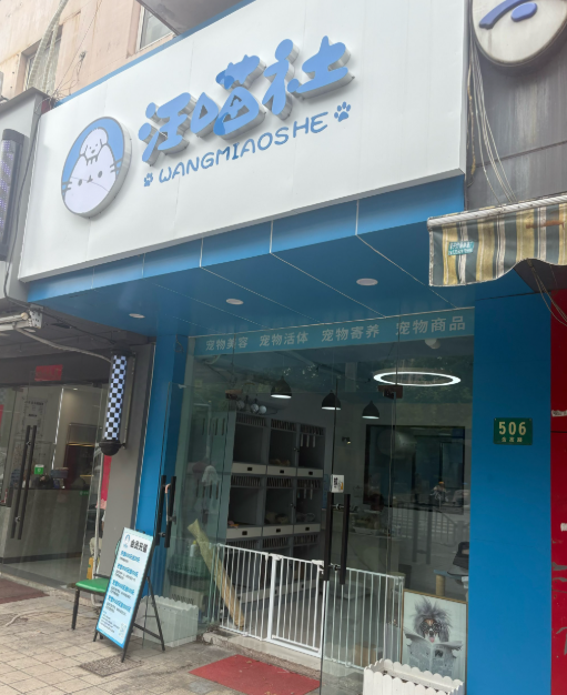 Why Some Dog Wash Businesses Fail in the First Year