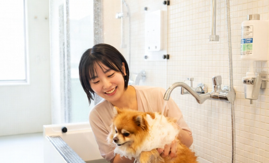 a women wash dog