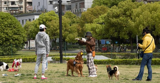 Why University Campuses Are Ideal Locations for Self-Service Dog Wash Stations