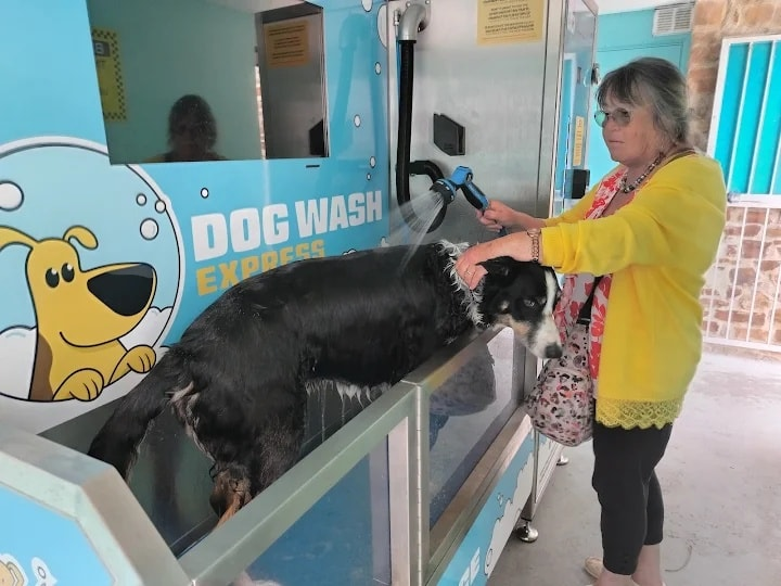 2026 Dog Wash Buying Guide: Are You Buying a Professional Business or a Full-Time Chore?