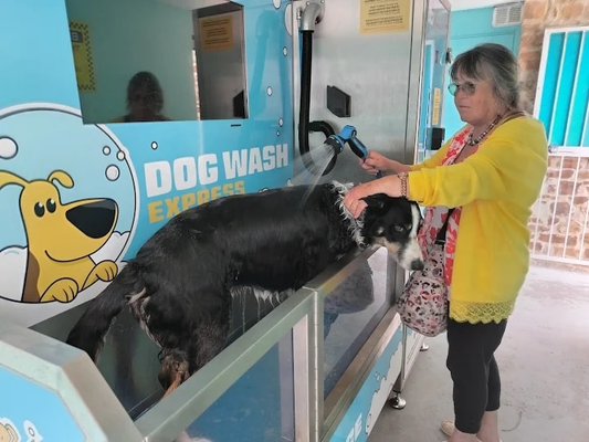 2026 Dog Wash Buying Guide: Are You Buying a Professional Business or a Full-Time Chore?
