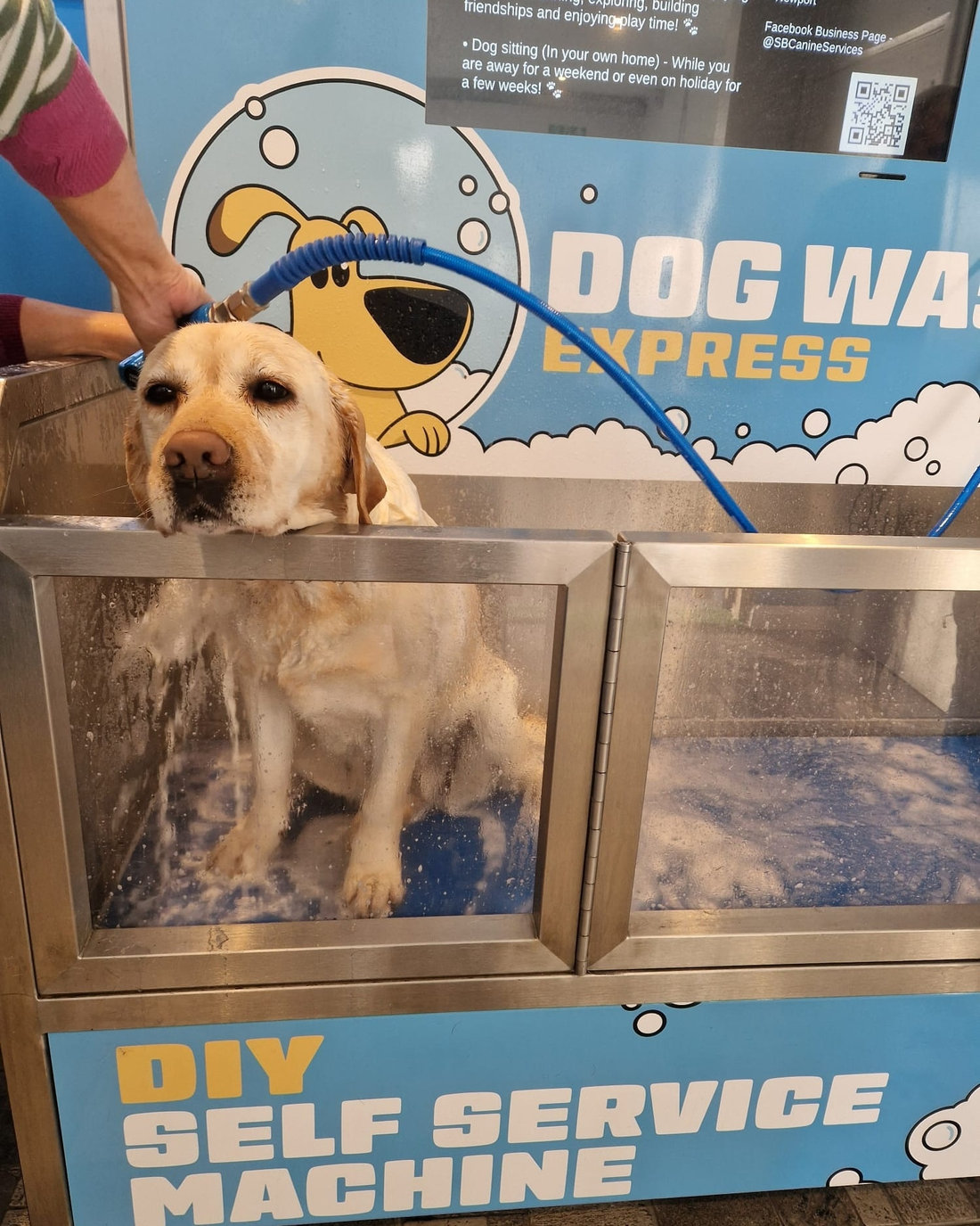 Dog Wash Machine