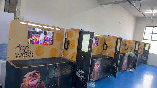 dog wash machine in uk