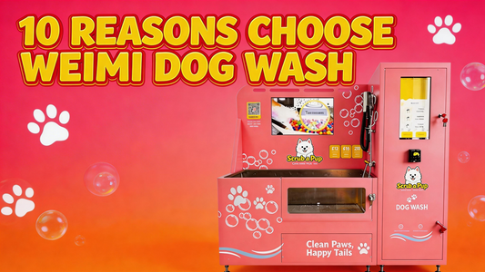 10 Reasons to Choose WEIMI Dog Wash in 2026